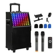 Karaoke Speaker, 8in 40W Portable Bluetooth Karaoke Machine with 2 Wireless Microphones, LED Disco Light for Adults Kids and Families Home Party, Supports TWS/FM/AUX/USB/TF (Black)